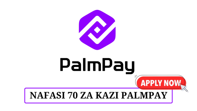 PalmPay Tanzania 70 Vacancies 2025