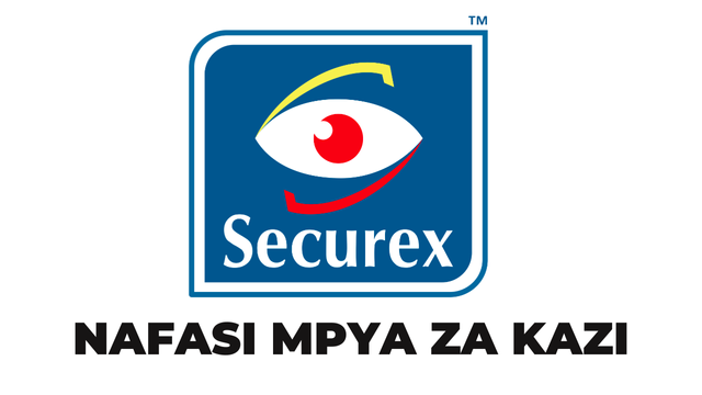 Accountants (2 Positions) at Securex Security April 2025