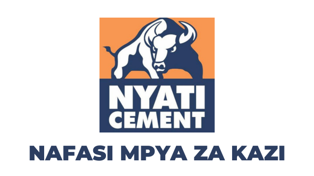 Lake Cement Tanzania Vacancies 2025