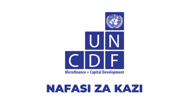 Local Climate Finance Specialist, IPSA 11 – UNCDF April 2025