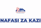 Applications Development Specialist Vacancy at NBC Tanzania