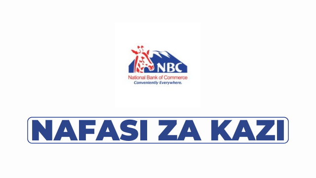 Applications Development Specialist Vacancy at NBC Tanzania