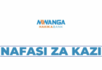Senior Officer, Business Performance & Covenant Monitoring Vacancy at Mwanga Hakika Bank