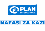 Senior Writer – CEO Communications Vacancy at Plan International