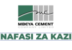 Technicians and Graduate in Trainees Program at Mbeya Cement